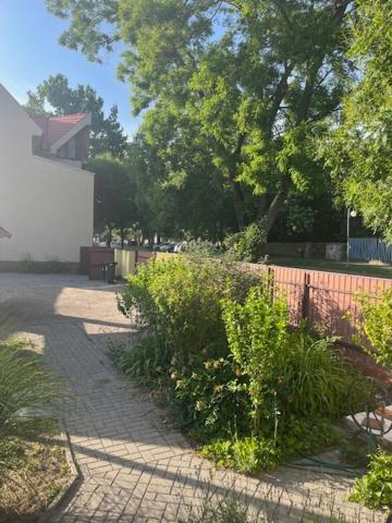 Ferienwohnung Dyta2 Apartman Hajdúszoboszló Exterior foto